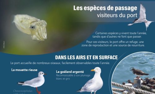 accueil 19